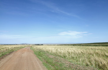 Fototapeta na wymiar Beautiful vast grassland of Masai Mara National Park