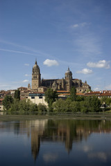 Fototapeta na wymiar Catedral de Salamanca