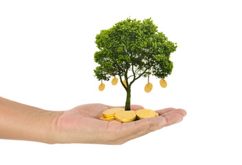 Growth of investment concept