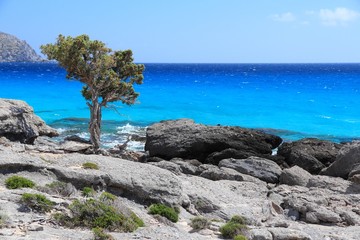 Crete island - Kedrodassos