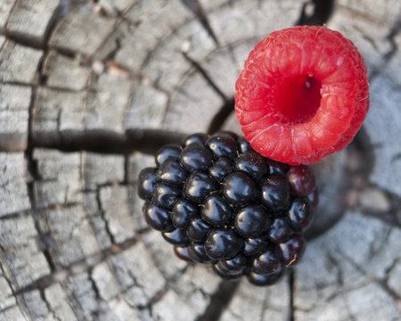 Blackberry and Raspberry on wood texture