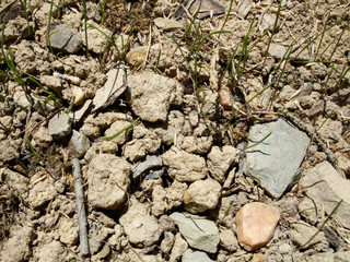 Rocks in field