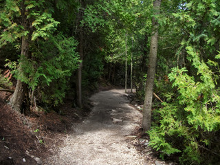 Trail passing through a forest, Tobermory, Ontario, Canada
