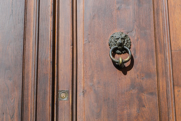 old knocker on door