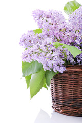 Lilac bouquet in a wicker basket - obrazy, fototapety, plakaty