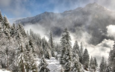 Beautiful Winter Scenery. Skiing Resort Zillertal Arena, Austria