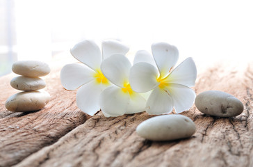 Fototapeta na wymiar frangipani flower with zen stone