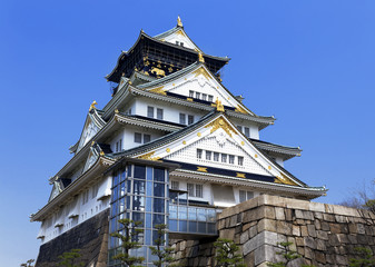 Fototapeta premium Osaka Castle in Osaka, Japan.