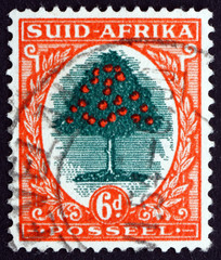 Postage stamp South Africa 1941 Orange Tree