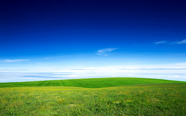 Obraz premium green field