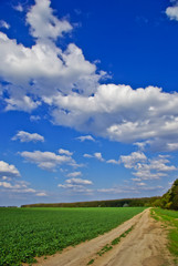 Fototapeta na wymiar Green field,road,forest,on the background of the blue sky with