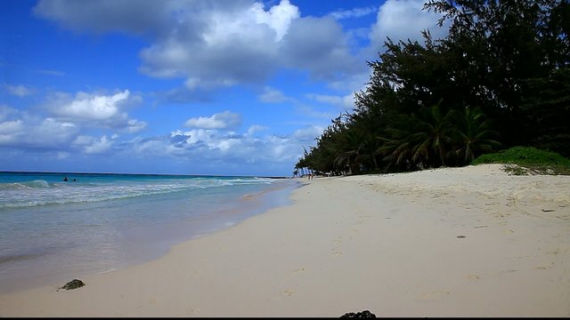 dover beach barbados