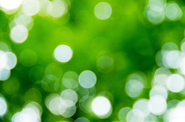 Obraz premium Natural blurred background.