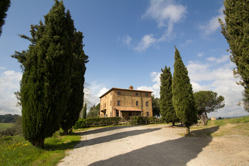 Fototapeta na wymiar Sprawa tipiche Toscana, Tonda