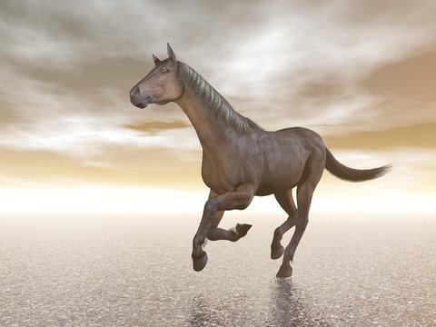 Horse galloping - 3D render