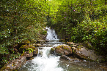 mountain river with stones and sky