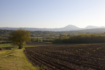 Rural Landscape
