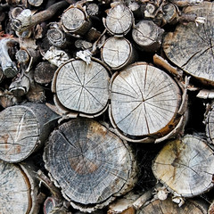 Naklejka premium bois de chauffage