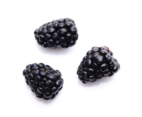 Three fresh blackberries