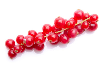 Bunch of redcurrants