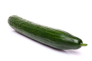 Cucumber