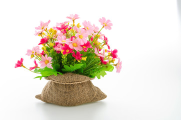 Bouquet flowers isolated on white