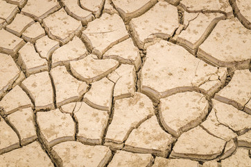 cracked soil
