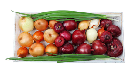Different raw onion, isolated on white