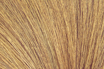 Close up detail of a broom texture. Grunge texture of dry grass