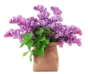 Beautiful lilac flowers in paper bag isolated on white
