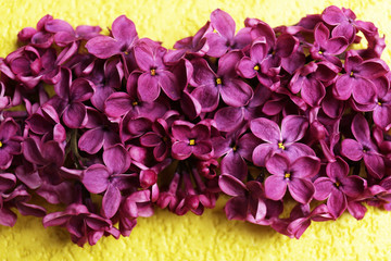 Beautiful lilac flowers on bright background