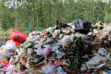 Pile of domestic garbage, pollution of environment