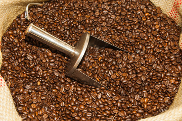 Sack of coffee beans with Silver spoon