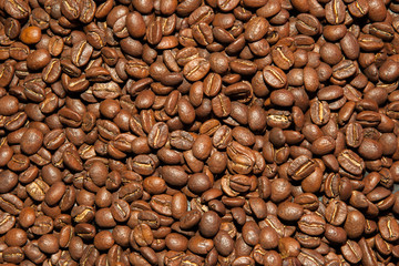 Coffee beans background