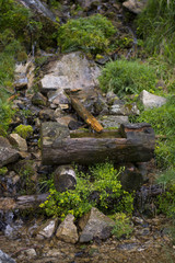 Nationalpark Harz