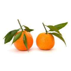 Tangerines