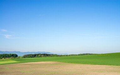 Field,meadow and clear blue sky.