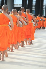 behind Buddhist monks are walking in the line