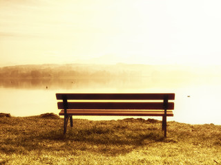 bench (81)