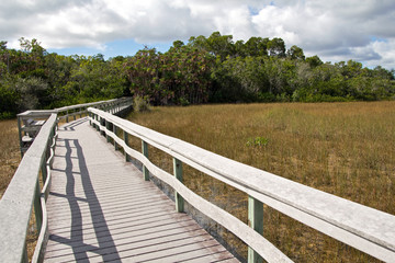 Everglades, Mahogany Hammock Trail