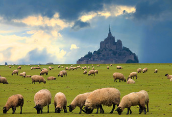 Fototapeta premium Mont saint Michel, Normandie