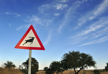 Traffic sign antelope crossing in African landscape