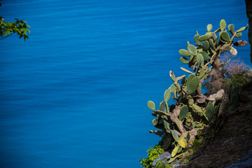 Nonza, Cap Corse