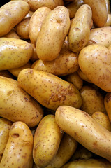 Lots of potatoes in supermarket