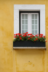 Fototapeta na wymiar Lisbon window