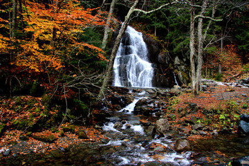 Vermont waterfall