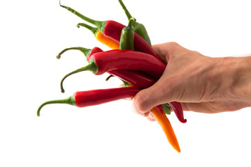 Chilis in der rechten Hand