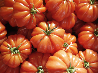 variété de tomates