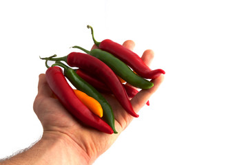 Bunte Chilis auf der Hand