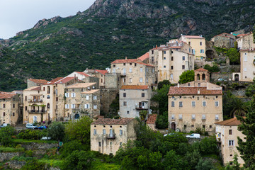 Fototapeta na wymiar Lama, Corse
